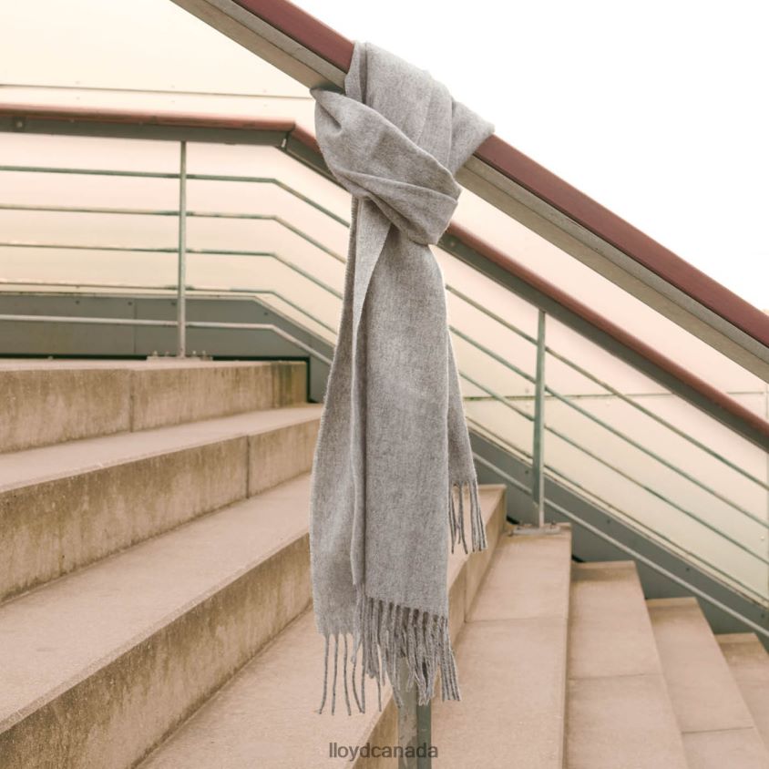 WOOL/CASHMERE SCARF LLOYD Women grey R084ZF1301 Accessories