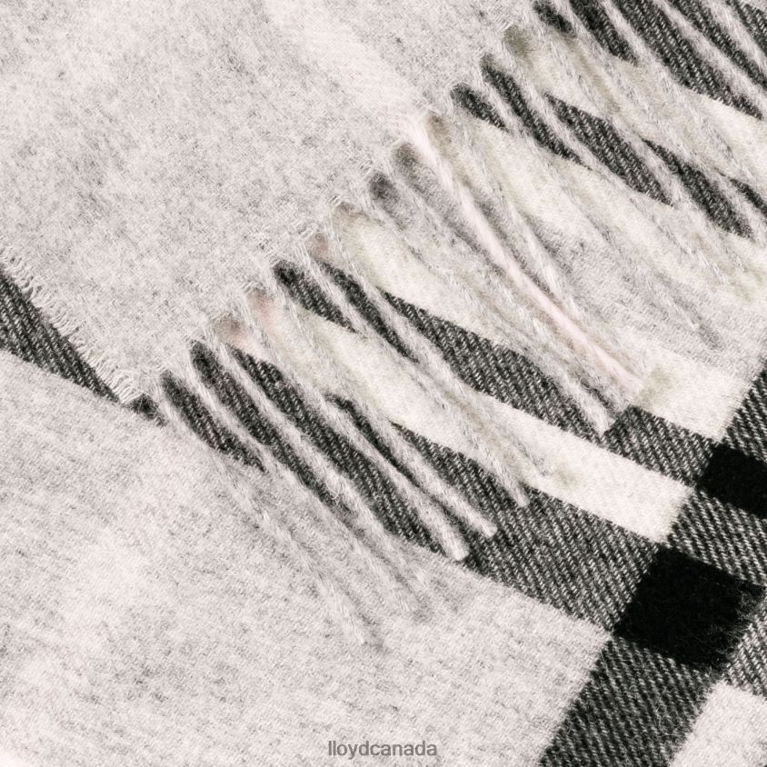 WOOL/CASHMERE SCARF LLOYD Women grey R084ZF1307 Accessories