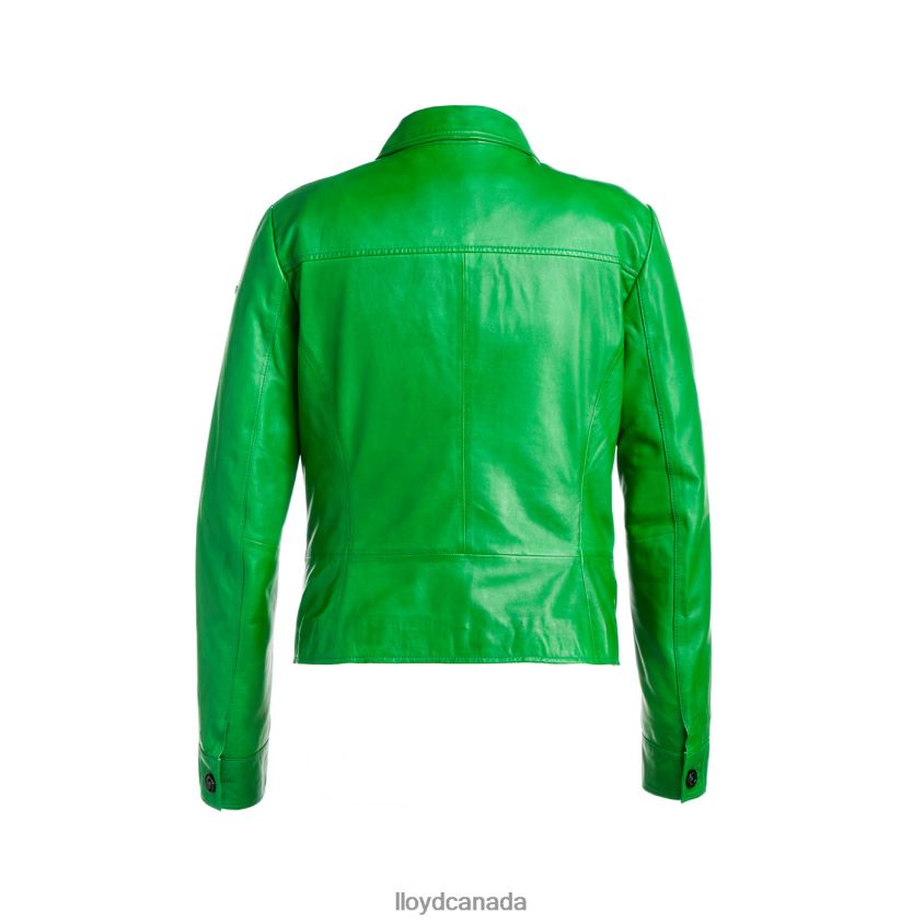 HERVE LLOYD Women green R084ZF1276 Clothing