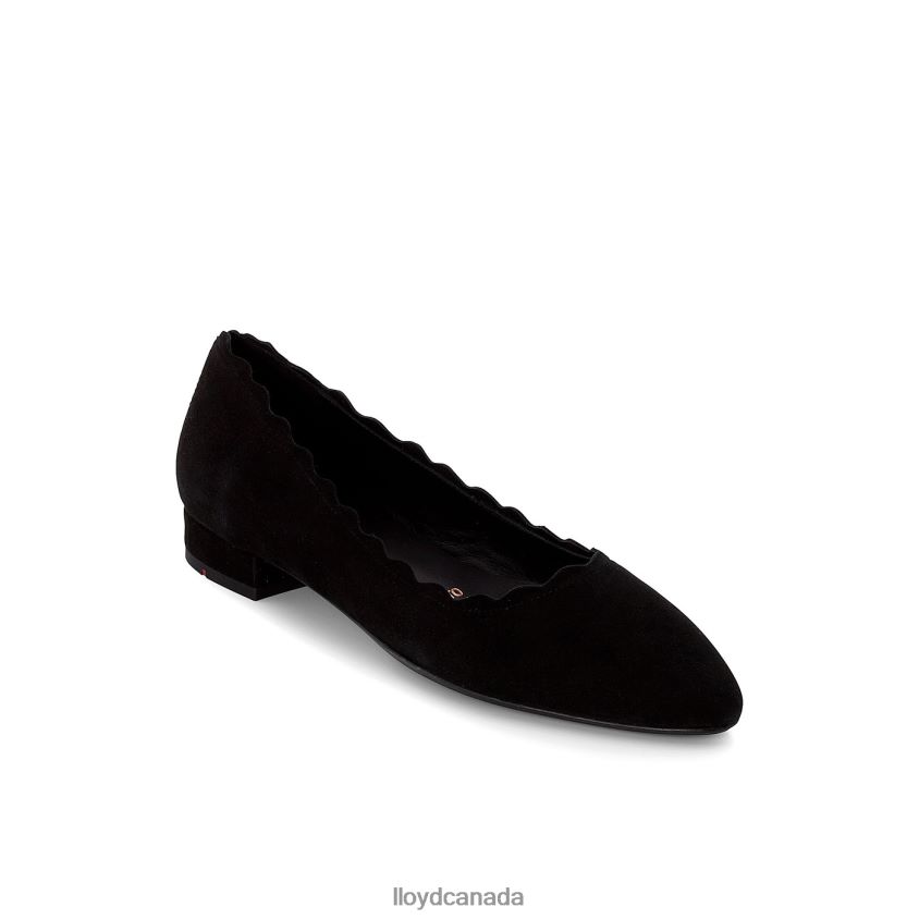BALLERINA LLOYD Women black R084ZF1142 Shoes