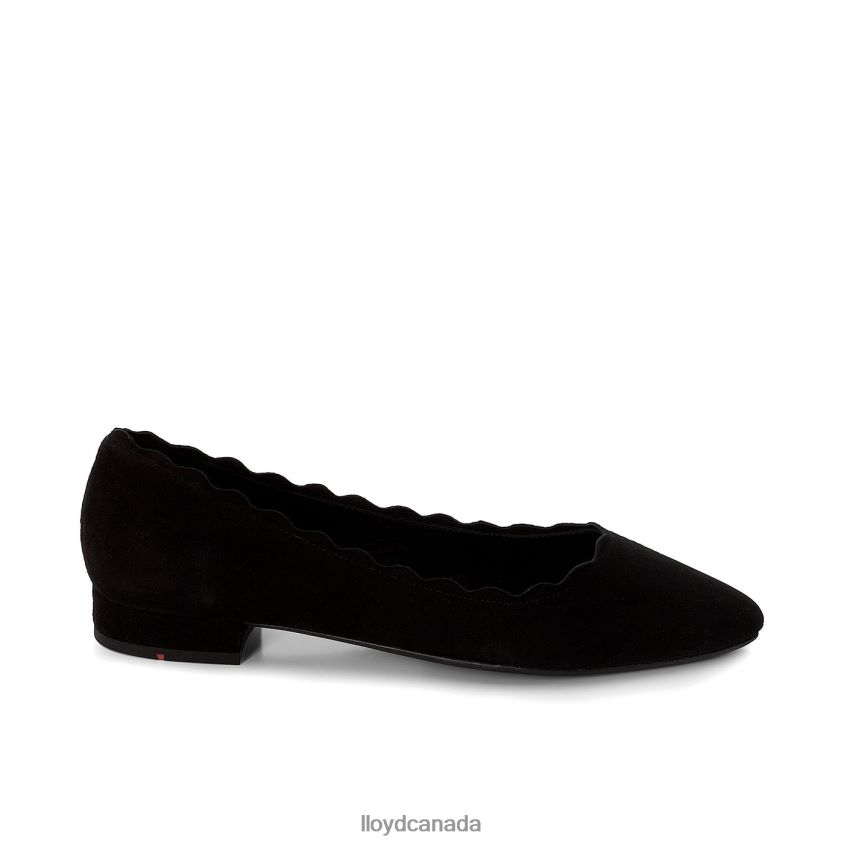 BALLERINA LLOYD Women black R084ZF1142 Shoes