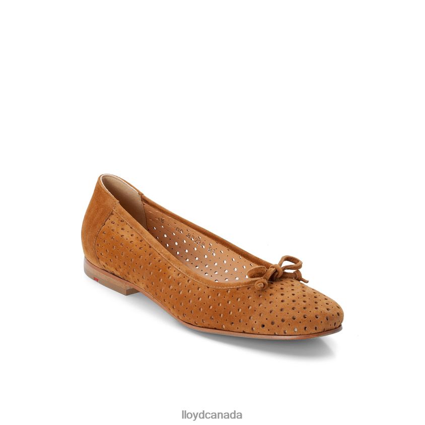 BALLERINA LLOYD Women brown R084ZF1144 Shoes