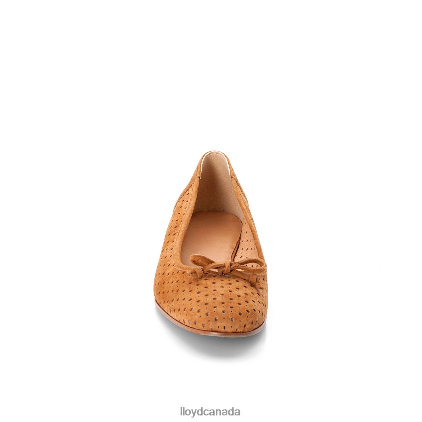 BALLERINA LLOYD Women brown R084ZF1144 Shoes