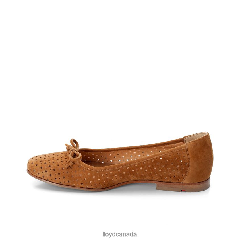 BALLERINA LLOYD Women brown R084ZF1144 Shoes