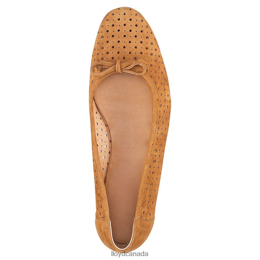 BALLERINA LLOYD Women brown R084ZF1144 Shoes