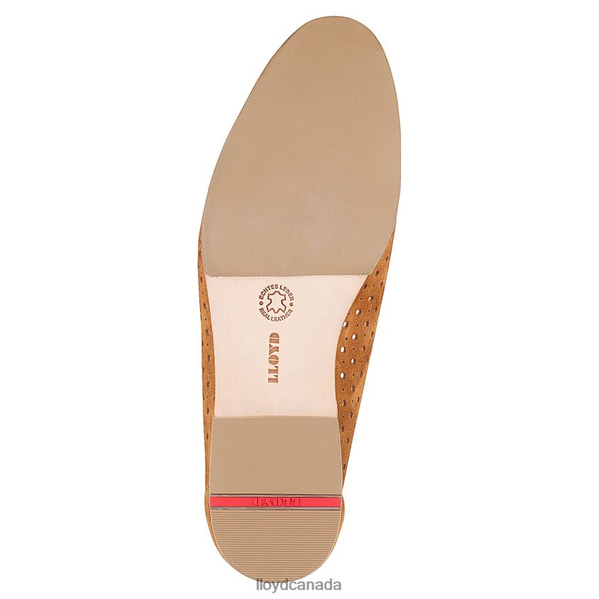 BALLERINA LLOYD Women brown R084ZF1144 Shoes