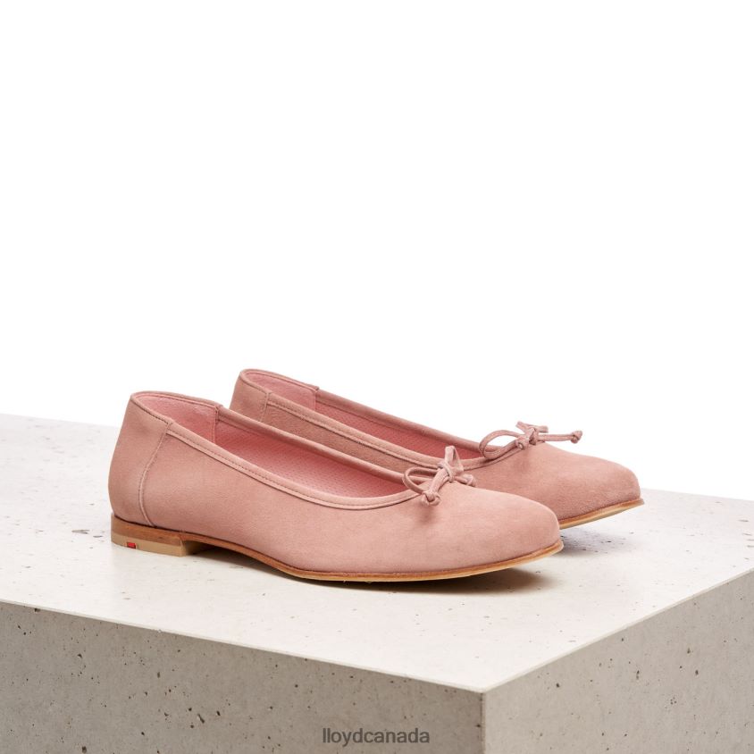 LEATHER BALLERINA LLOYD Women beige R084ZF1258 Shoes