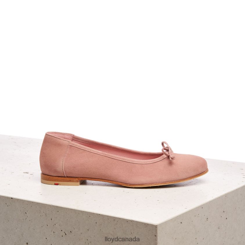 LEATHER BALLERINA LLOYD Women beige R084ZF1258 Shoes