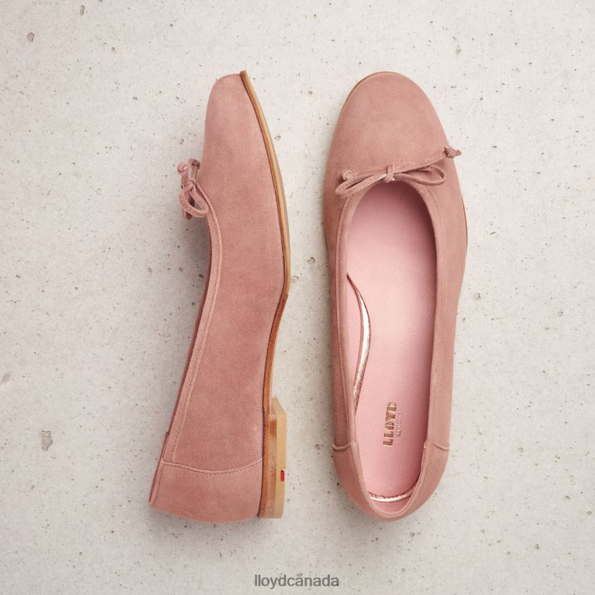 LEATHER BALLERINA LLOYD Women beige R084ZF1258 Shoes