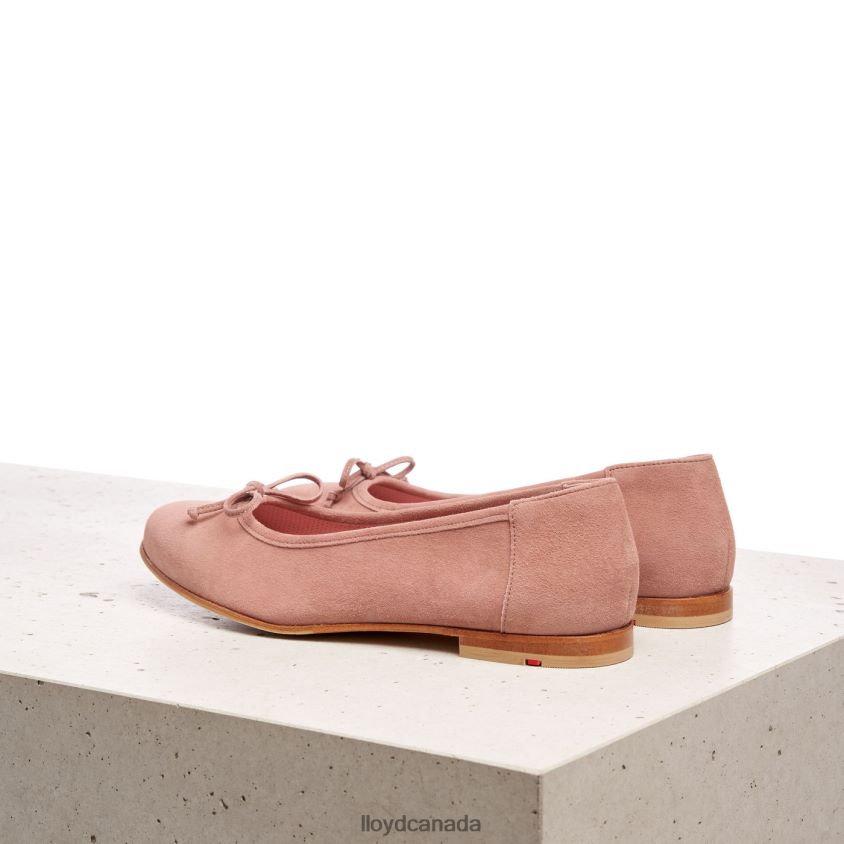 LEATHER BALLERINA LLOYD Women beige R084ZF1258 Shoes