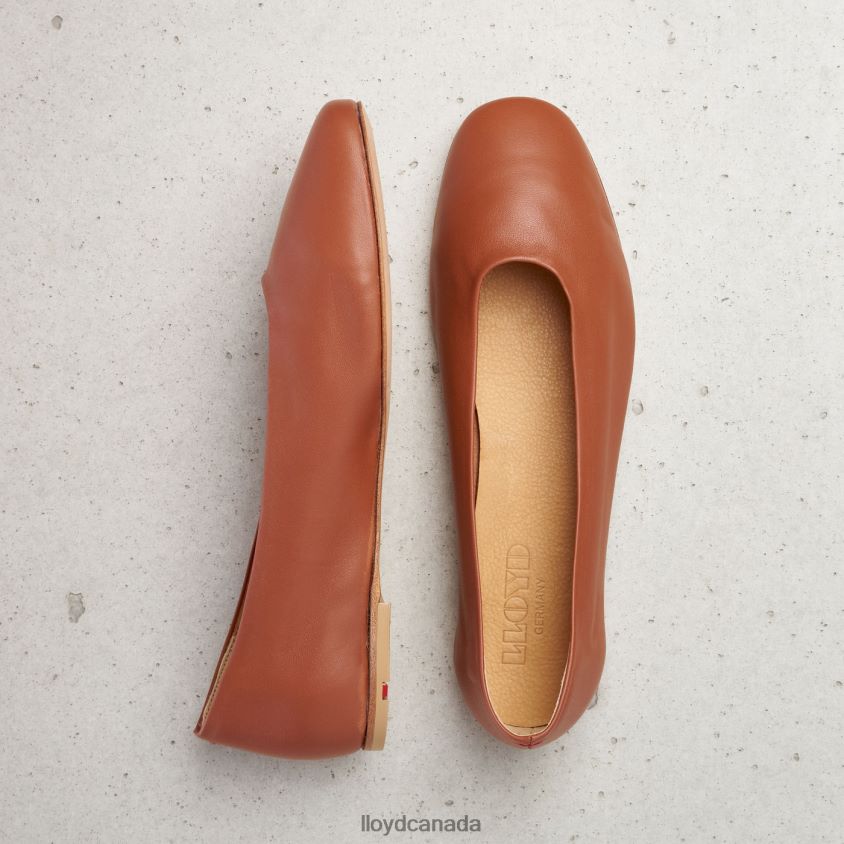 LEATHER BALLERINA LLOYD Women brown R084ZF1256 Shoes