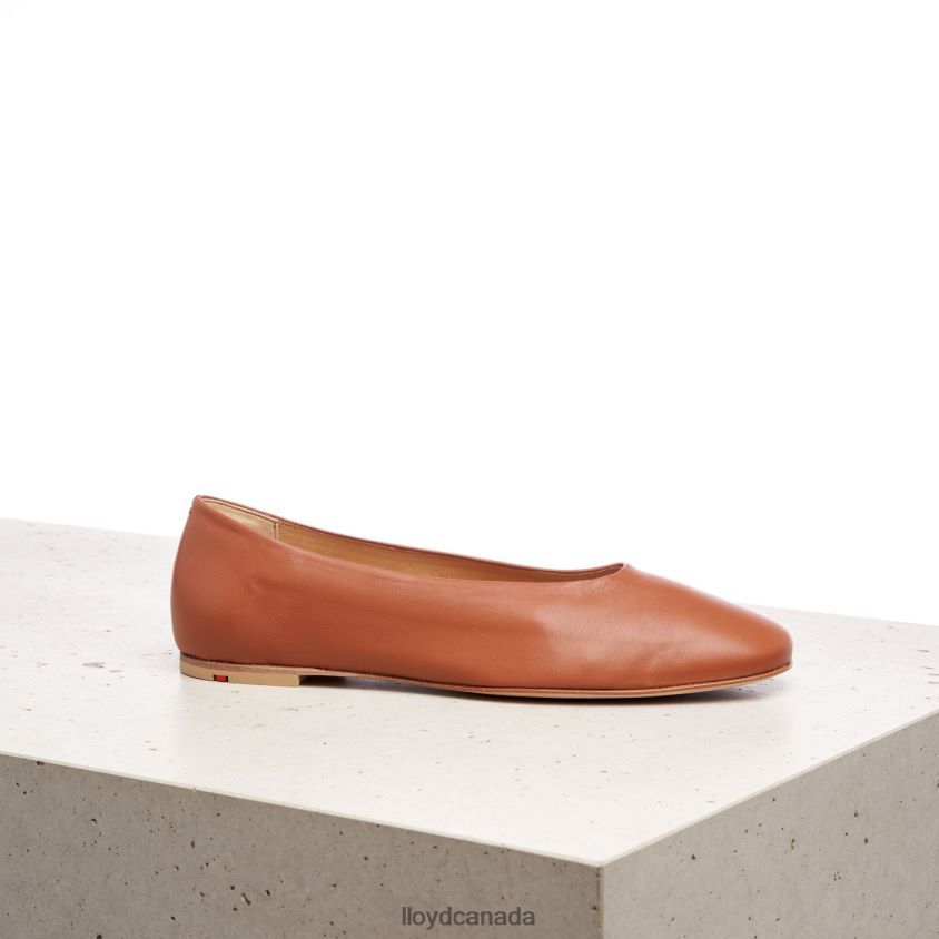 LEATHER BALLERINA LLOYD Women brown R084ZF1256 Shoes
