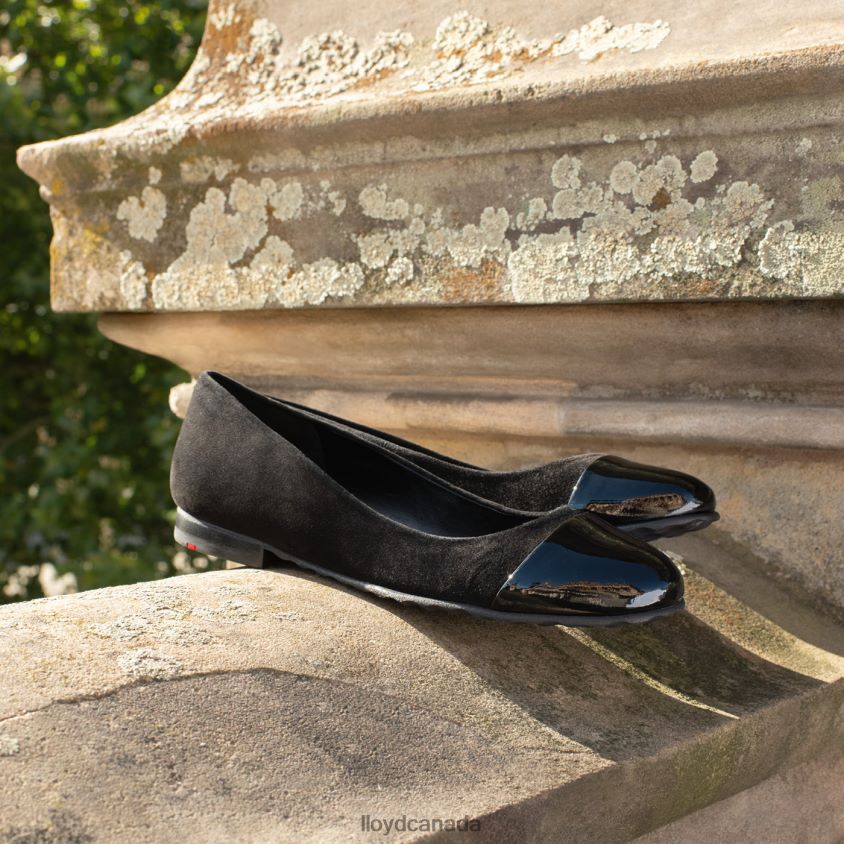 PATENT LEATHER BALLERINA LLOYD Women black R084ZF1171 Shoes