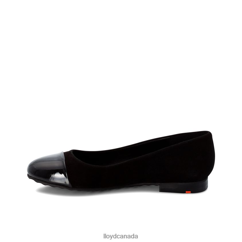 PATENT LEATHER BALLERINA LLOYD Women black R084ZF1171 Shoes