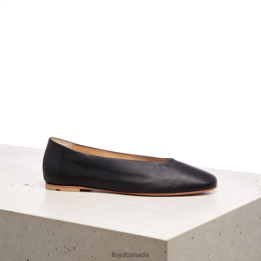 SMOOTH LEATHER BALLERINA LLOYD Women black R084ZF1257 Shoes