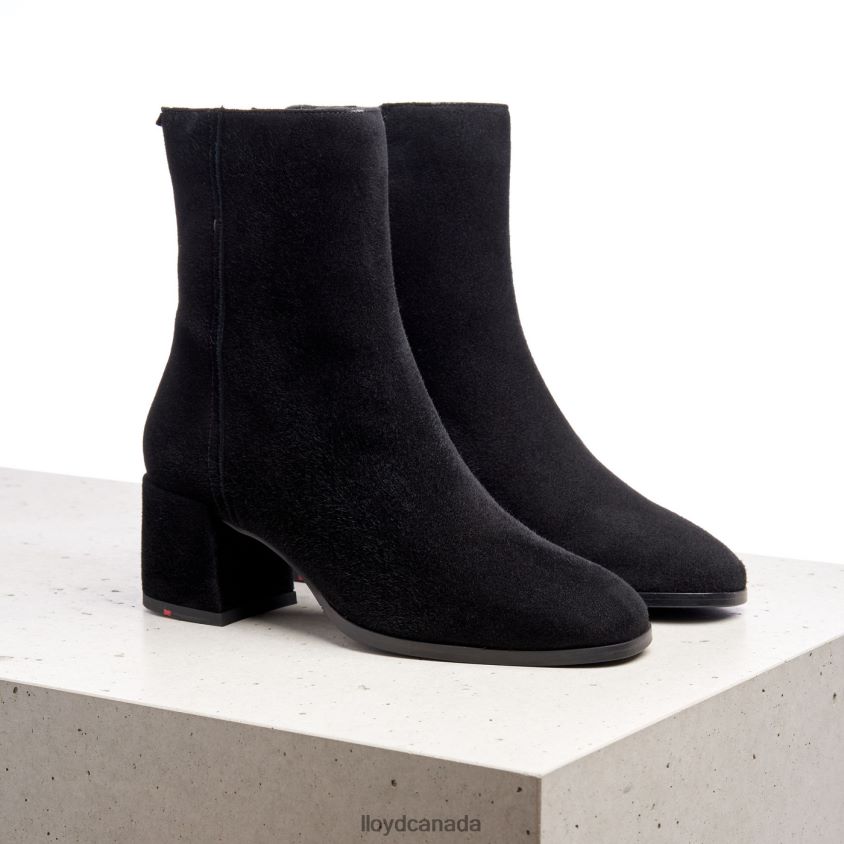 ANKLE BOOTS LLOYD Women black R084ZF986 Shoes