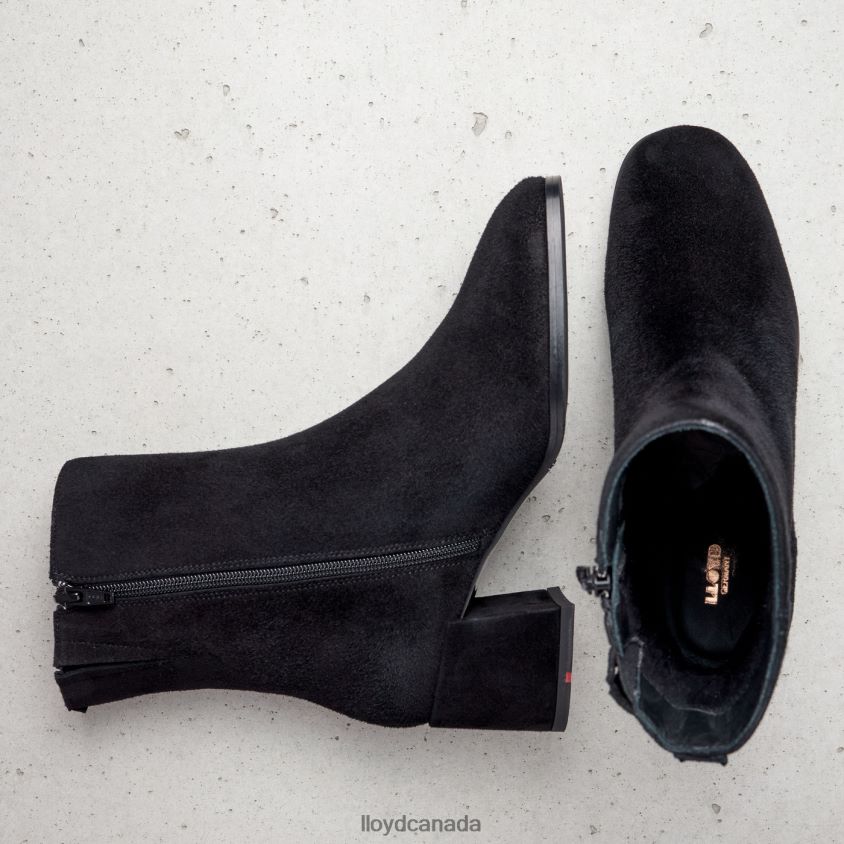 ANKLE BOOTS LLOYD Women black R084ZF986 Shoes