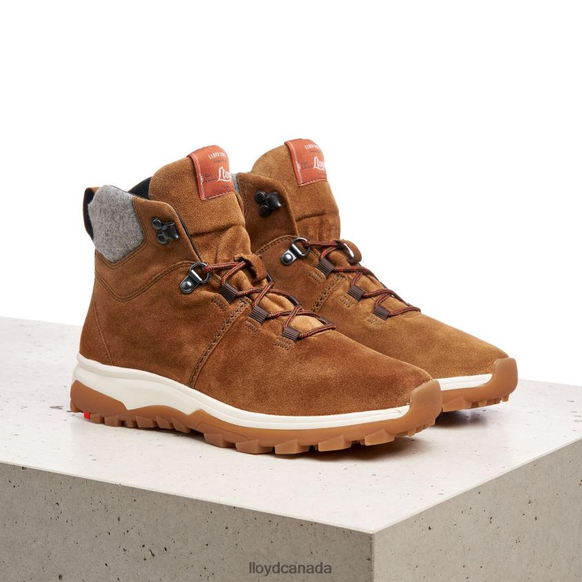ANKLE BOOTS LLOYD Women brown R084ZF856 Shoes