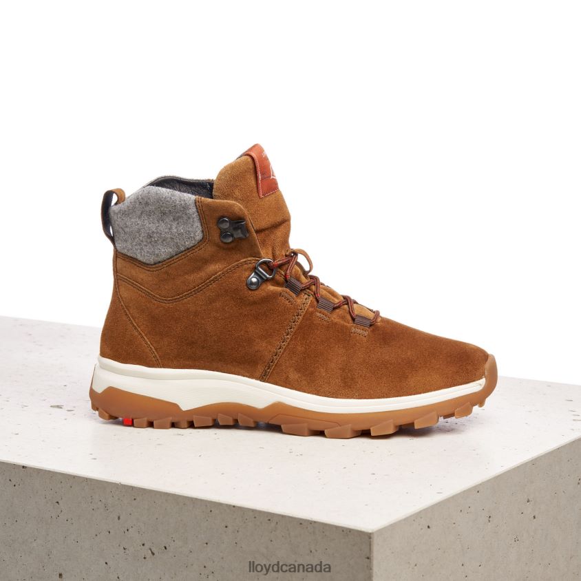 ANKLE BOOTS LLOYD Women brown R084ZF856 Shoes