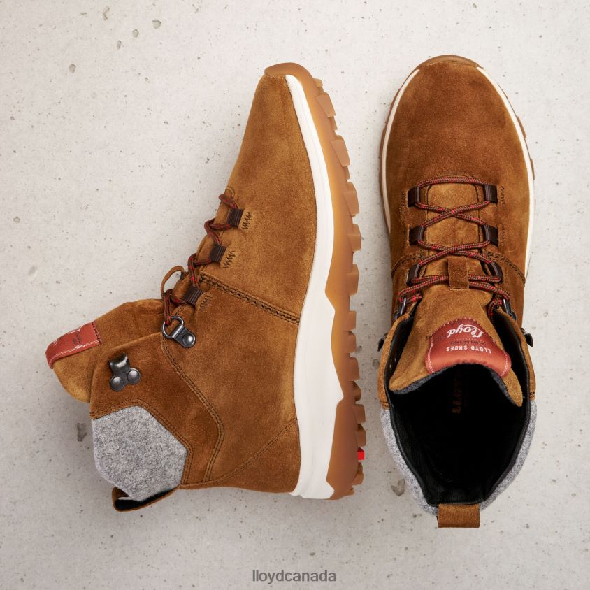 ANKLE BOOTS LLOYD Women brown R084ZF856 Shoes
