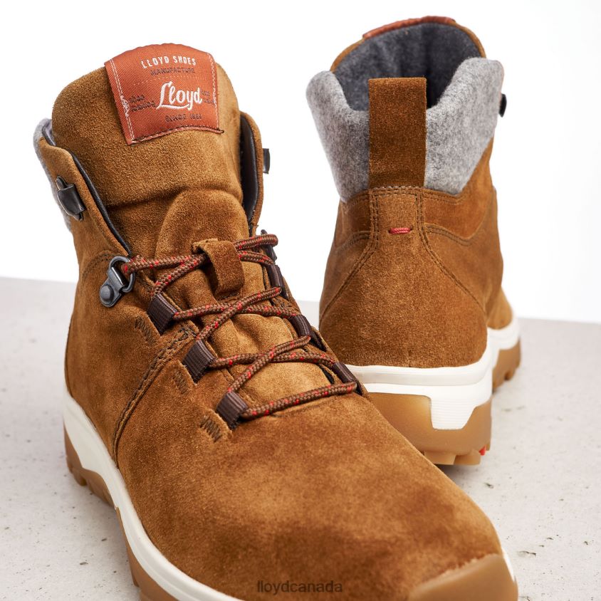 ANKLE BOOTS LLOYD Women brown R084ZF856 Shoes