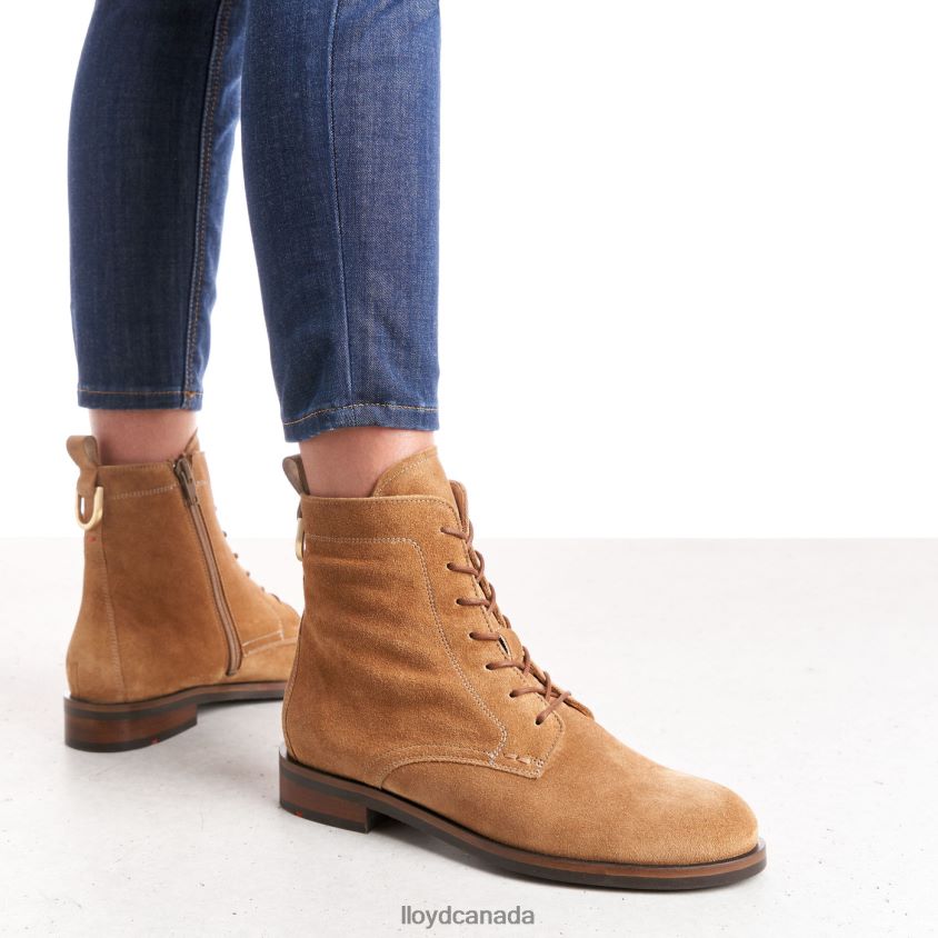 ANKLE BOOTS LLOYD Women brown R084ZF959 Shoes