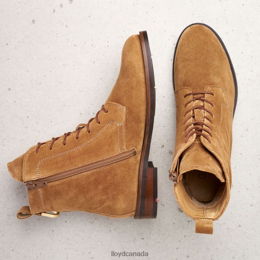 ANKLE BOOTS LLOYD Women brown R084ZF959 Shoes