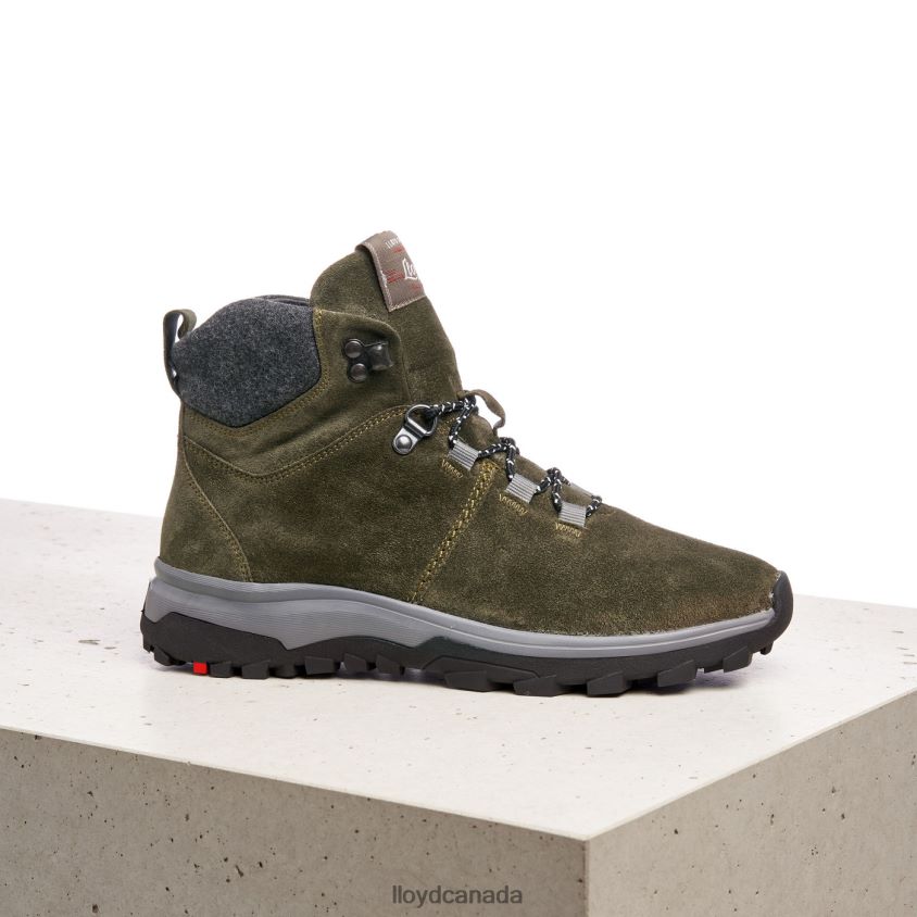ANKLE BOOTS LLOYD Women green R084ZF845 Shoes