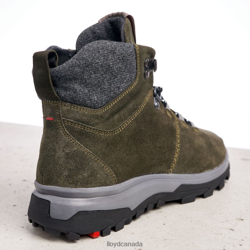 ANKLE BOOTS LLOYD Women green R084ZF845 Shoes