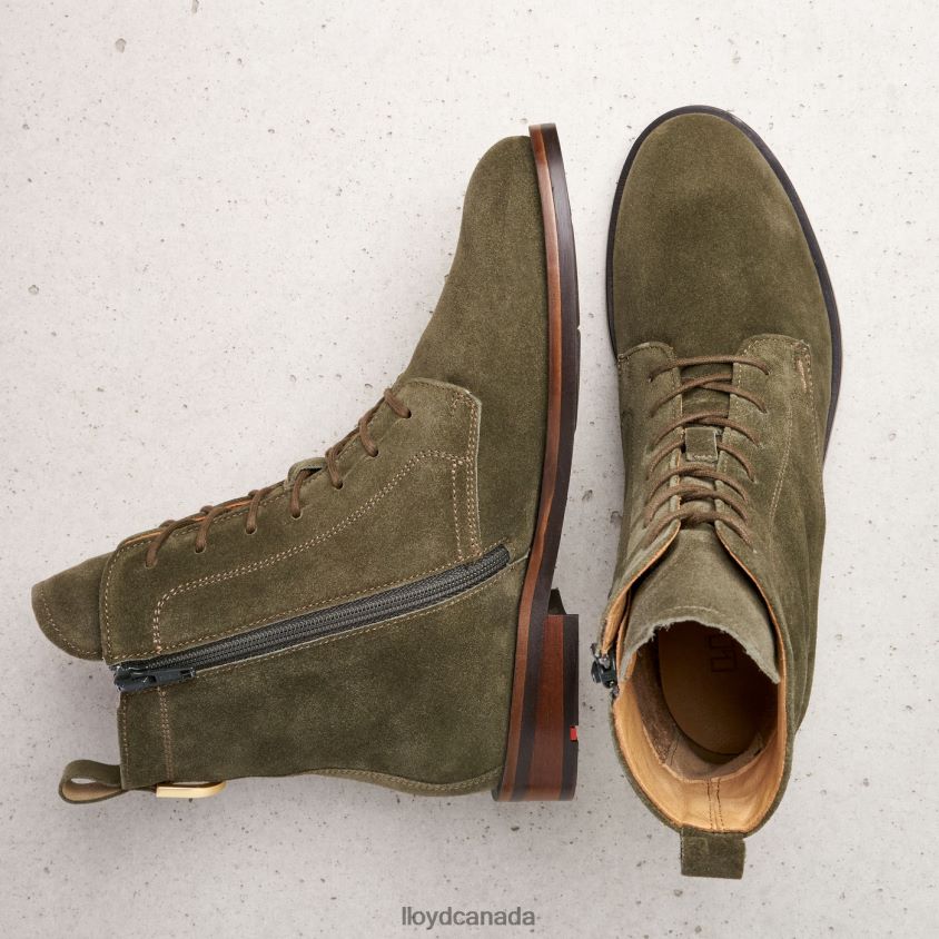 ANKLE BOOTS LLOYD Women green R084ZF953 Shoes