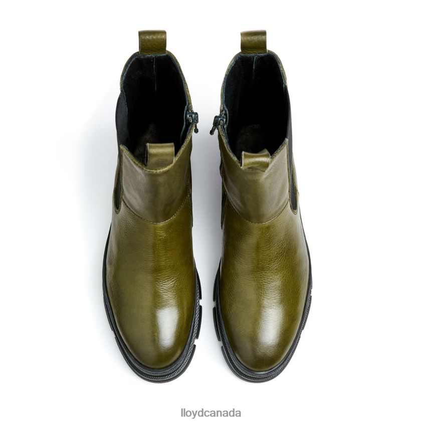 ANKLE BOOT WITH SOLE LLOYD Women green R084ZF911 Shoes