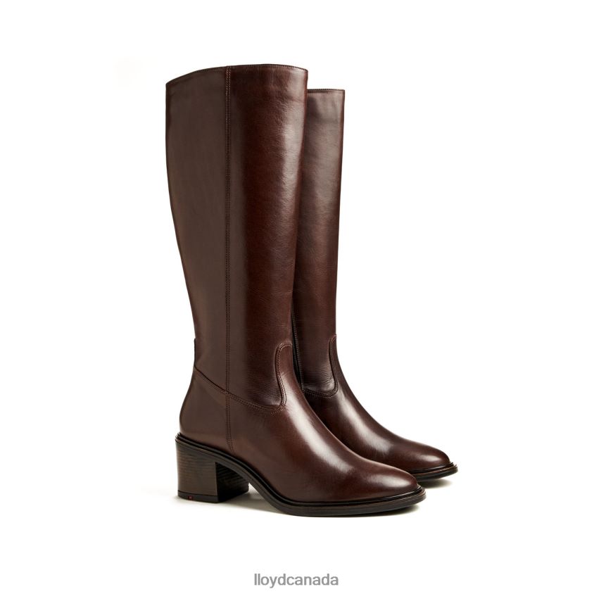 BOOT LLOYD Women brown R084ZF1191 Shoes