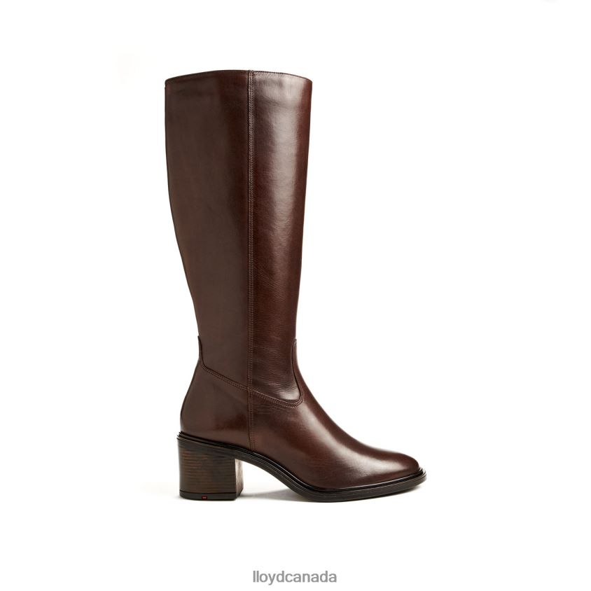 BOOT LLOYD Women brown R084ZF1191 Shoes