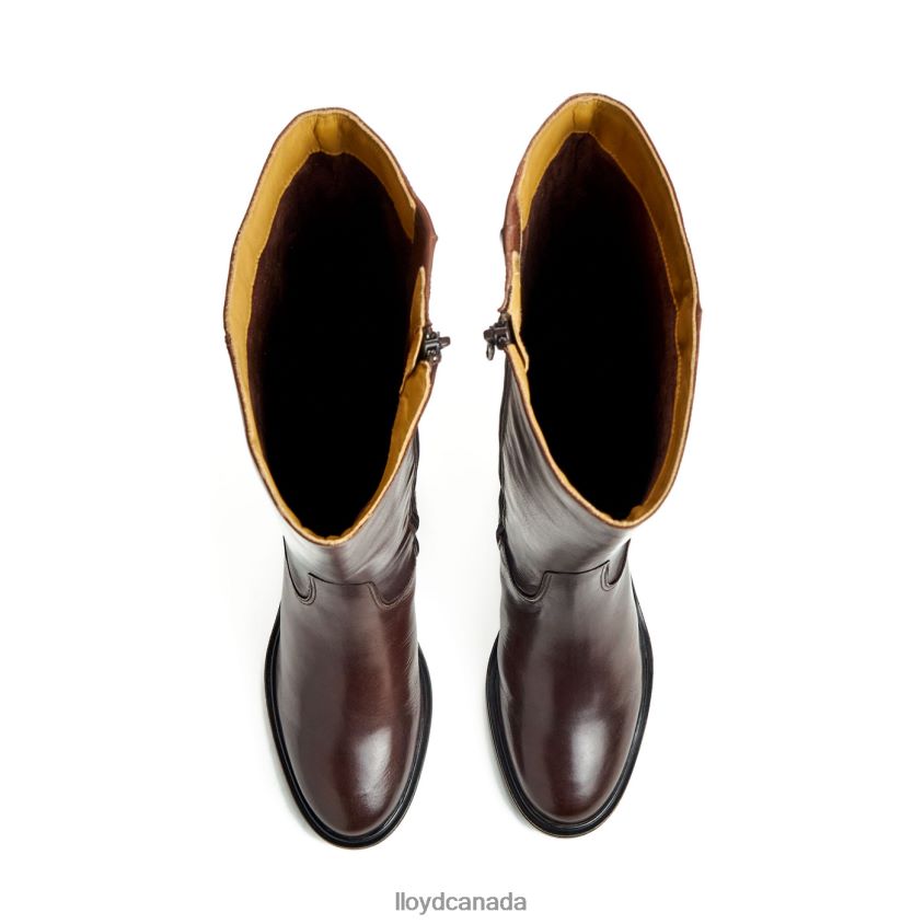 BOOT LLOYD Women brown R084ZF1191 Shoes