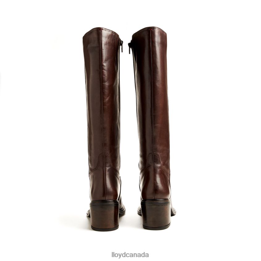BOOT LLOYD Women brown R084ZF1191 Shoes