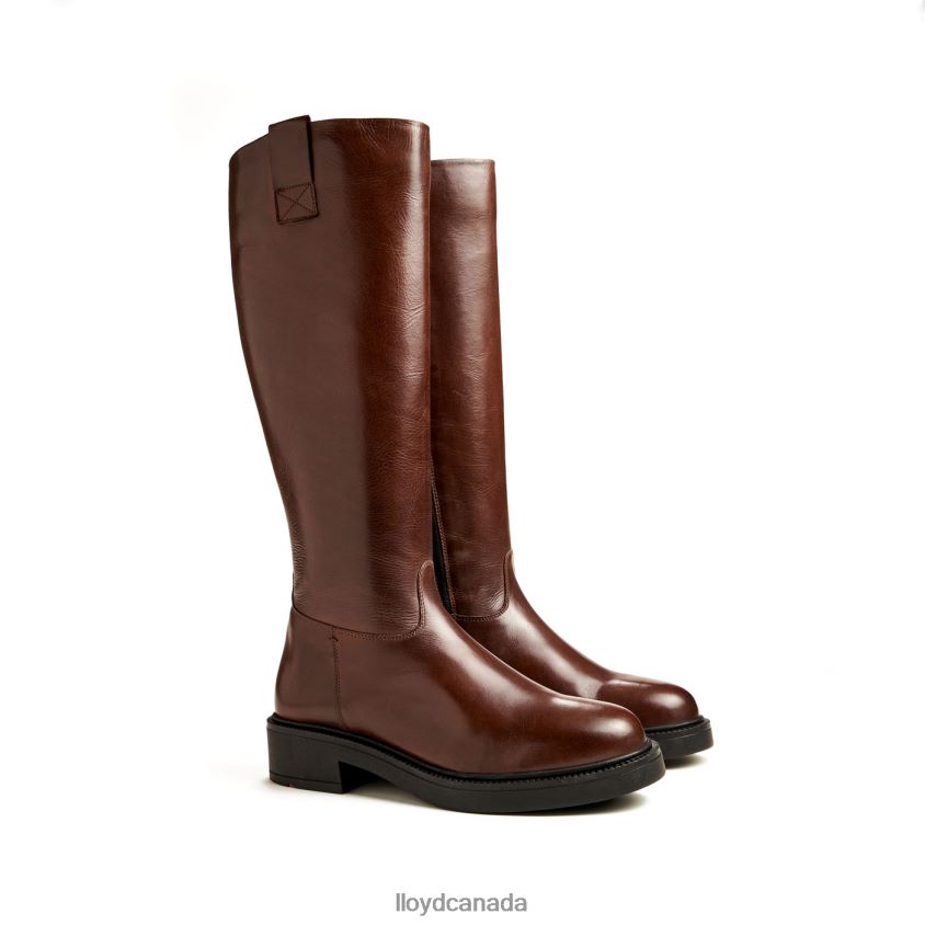BOOT LLOYD Women brown R084ZF1193 Shoes