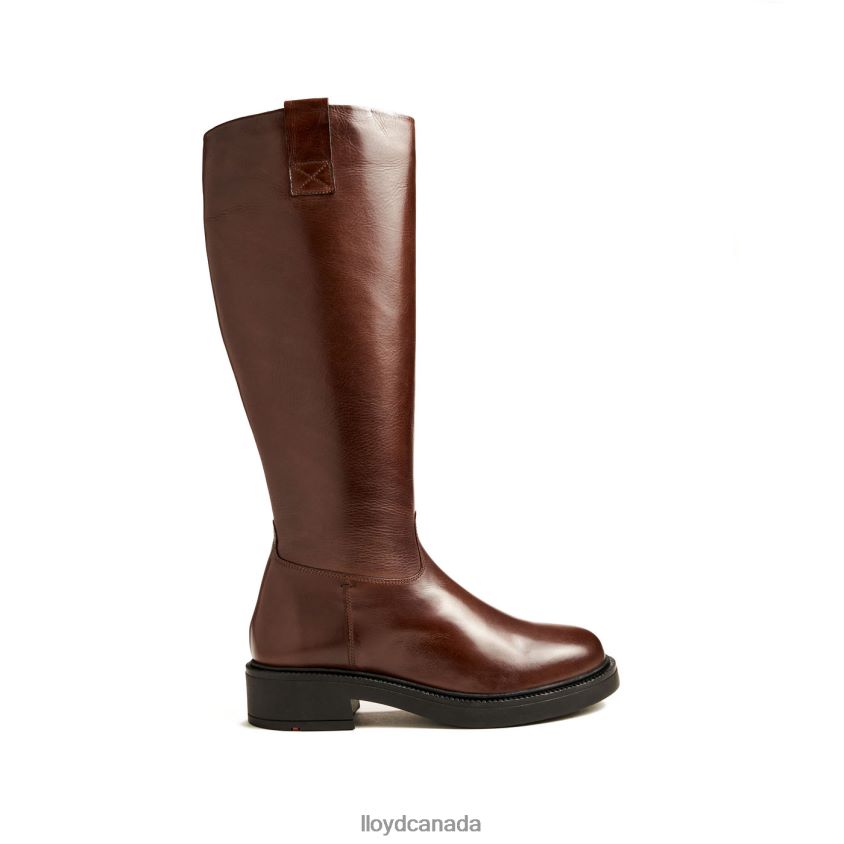 BOOT LLOYD Women brown R084ZF1193 Shoes
