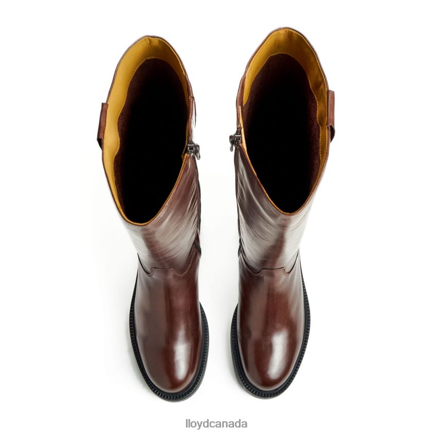 BOOT LLOYD Women brown R084ZF1193 Shoes