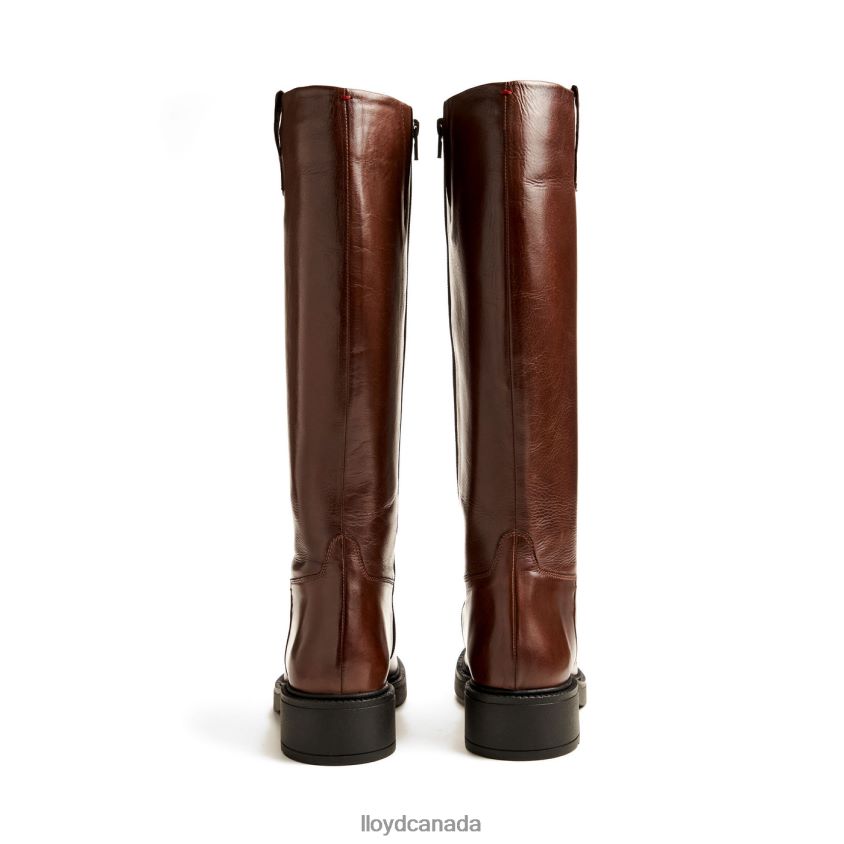 BOOT LLOYD Women brown R084ZF1193 Shoes