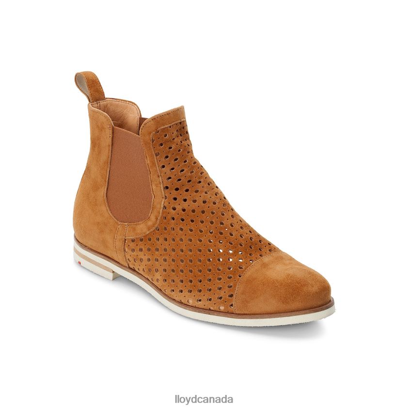 Chelsea ANKLE BOOTS LLOYD Women brown R084ZF993 Shoes