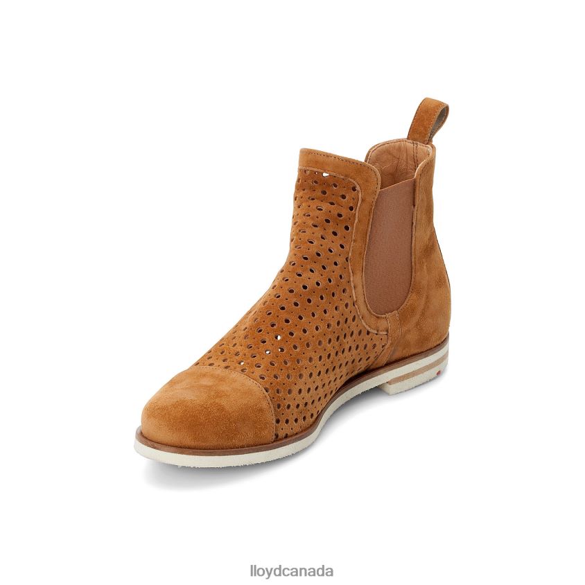 Chelsea ANKLE BOOTS LLOYD Women brown R084ZF993 Shoes