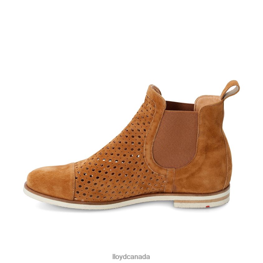 Chelsea ANKLE BOOTS LLOYD Women brown R084ZF993 Shoes