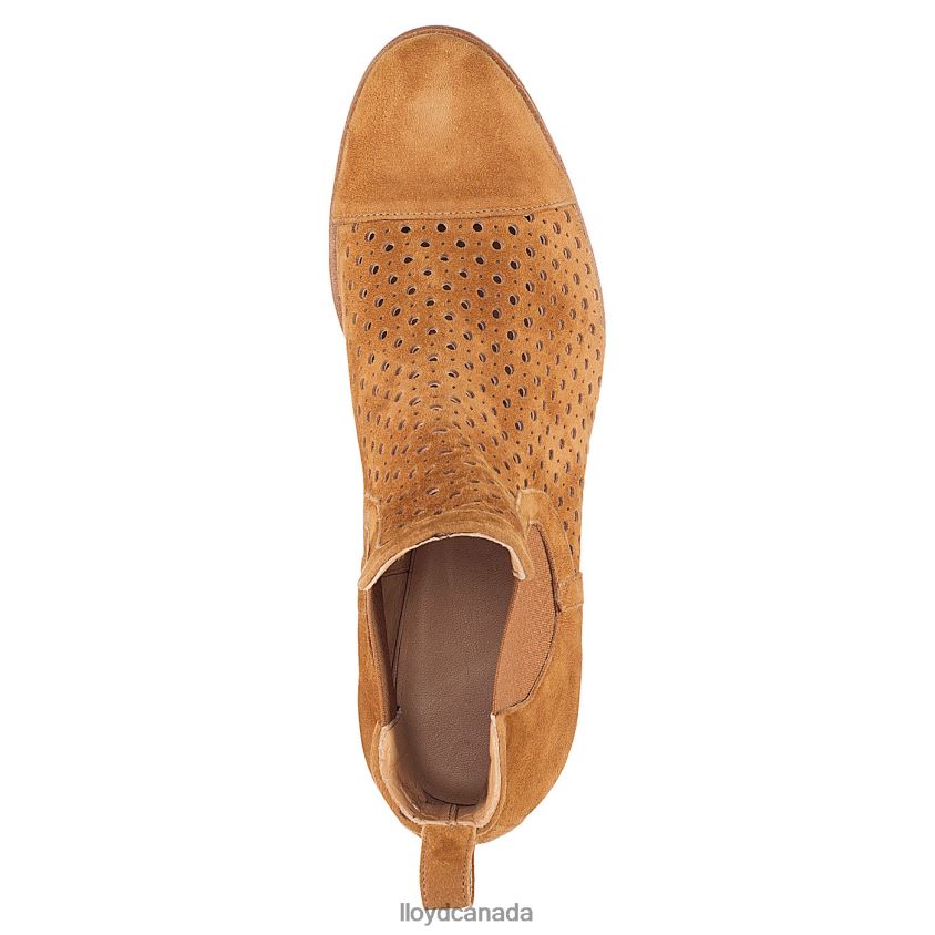 Chelsea ANKLE BOOTS LLOYD Women brown R084ZF993 Shoes