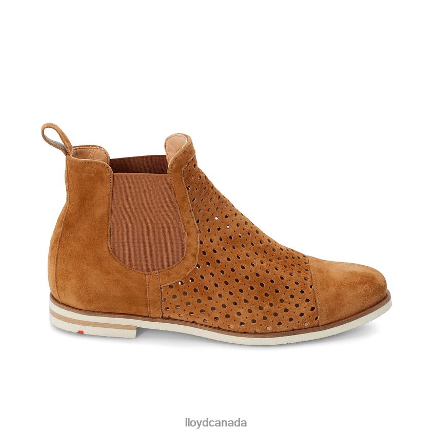 Chelsea ANKLE BOOTS LLOYD Women brown R084ZF993 Shoes