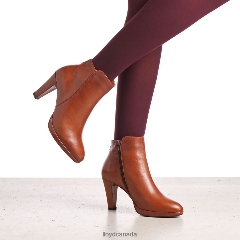 LEATHER ANKLE BOOTS LLOYD Women brown R084ZF921 Shoes