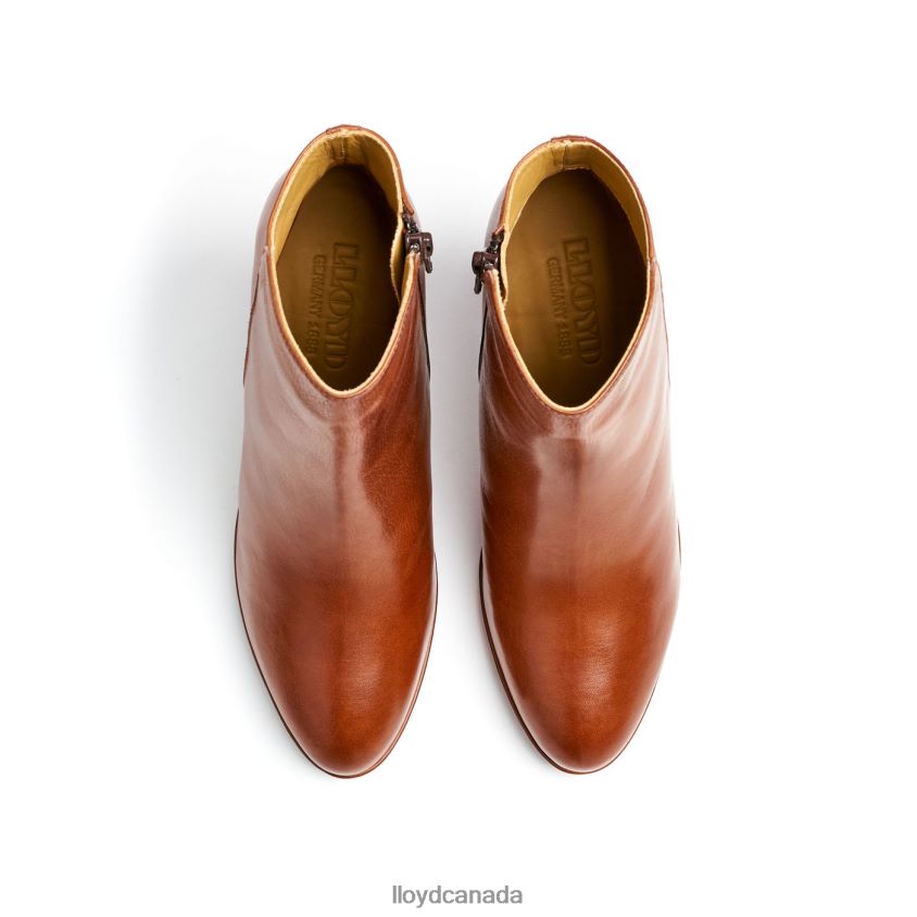 LEATHER ANKLE BOOTS LLOYD Women brown R084ZF921 Shoes