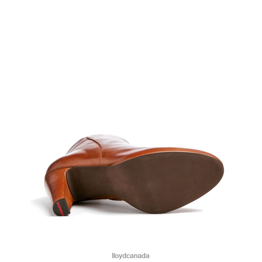 LEATHER ANKLE BOOTS LLOYD Women brown R084ZF921 Shoes