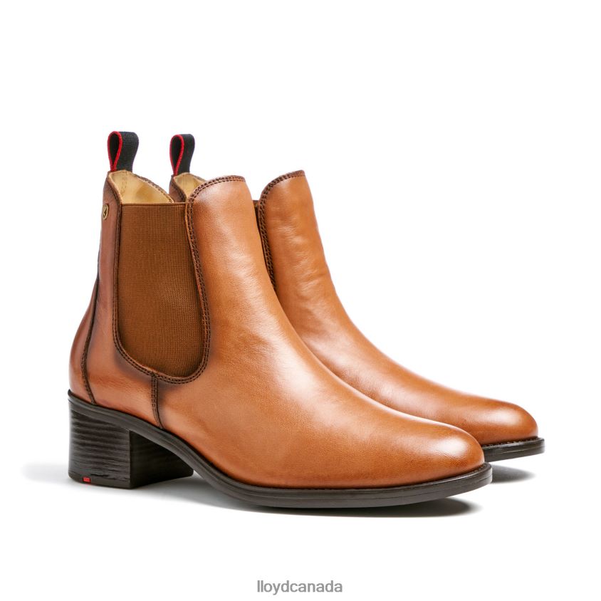 LEATHER ANKLE BOOTS LLOYD Women brown R084ZF929 Shoes