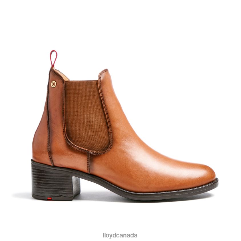 LEATHER ANKLE BOOTS LLOYD Women brown R084ZF929 Shoes