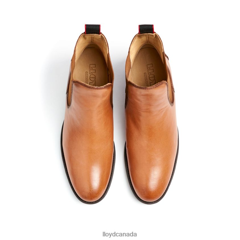 LEATHER ANKLE BOOTS LLOYD Women brown R084ZF929 Shoes